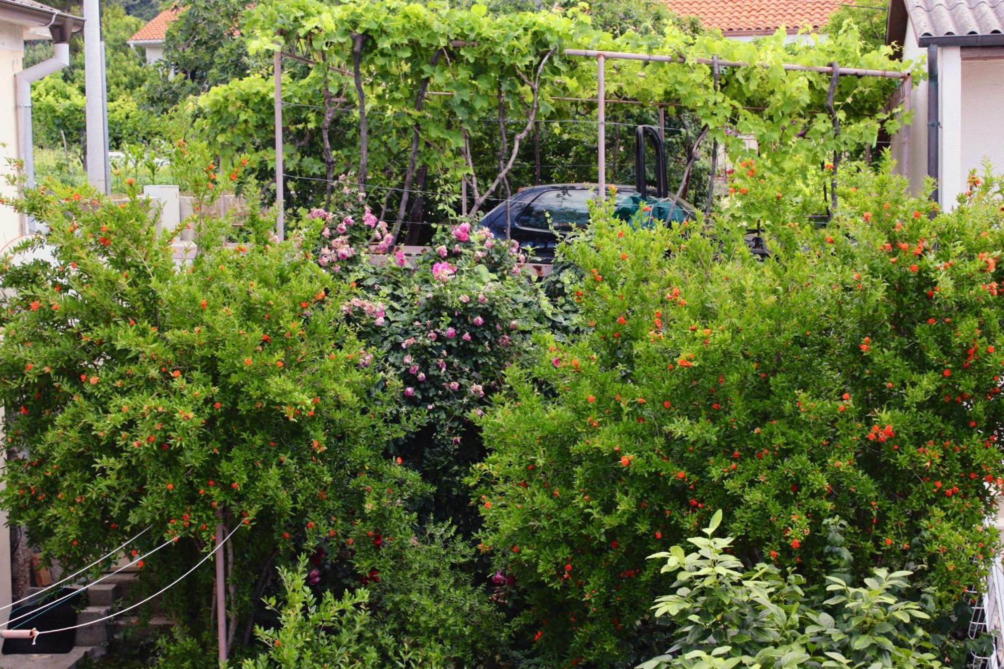 Apartments And Rooms By The Sea Barbat, Rab - 4973 Rab Town Bagian luar foto